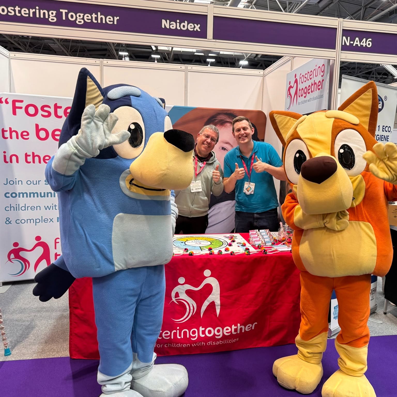 Meeting Bingo and Bluey!