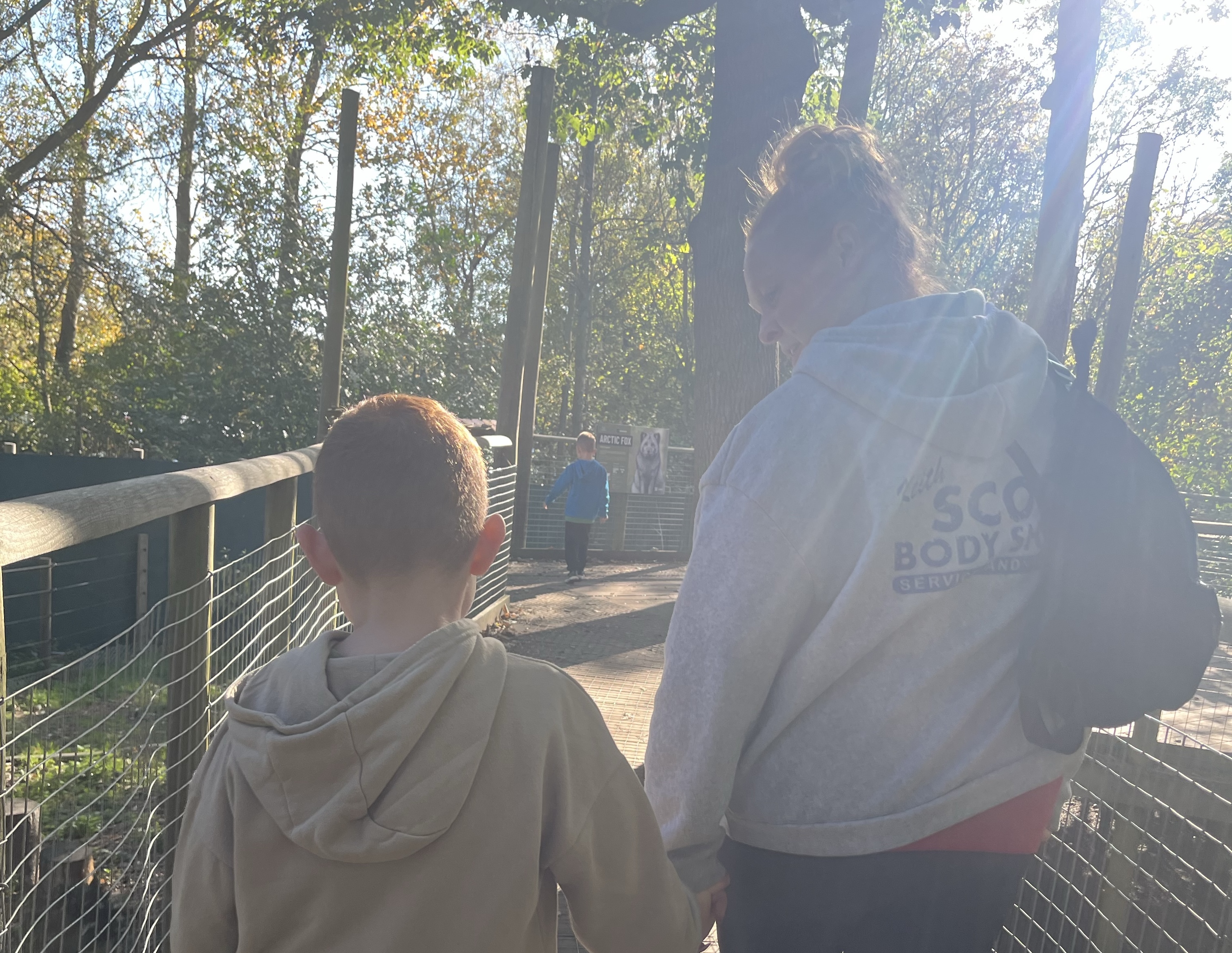 Autumn adventures at Wildwood Kent