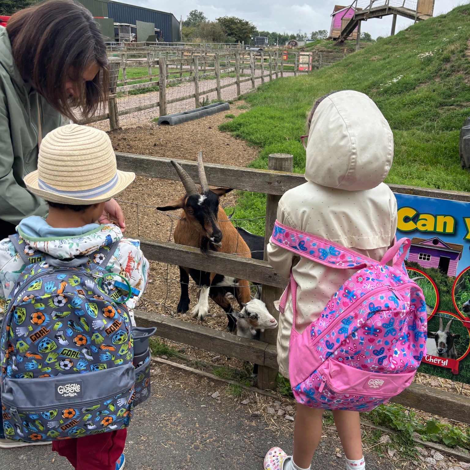 Siblings meet a friendly goat!