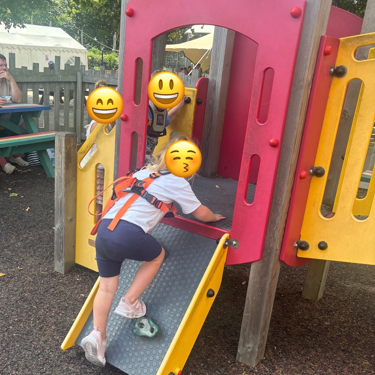 Enjoying the climbing frames