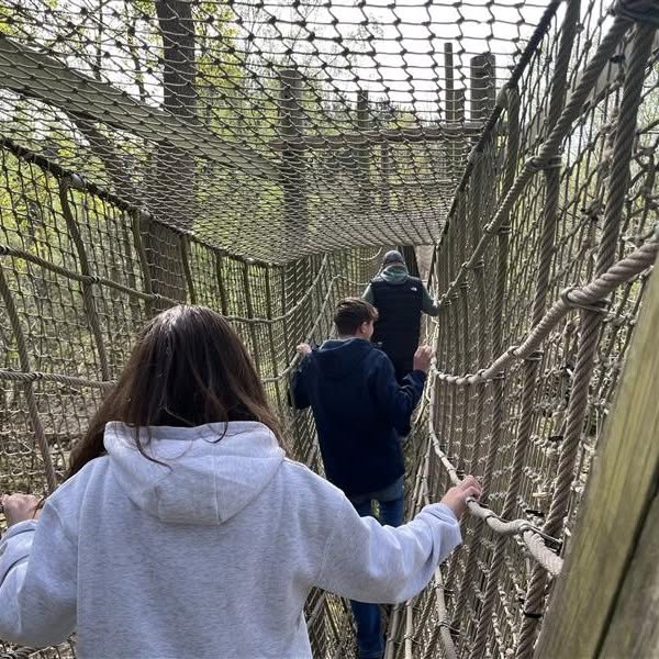 Woodland tree trail!